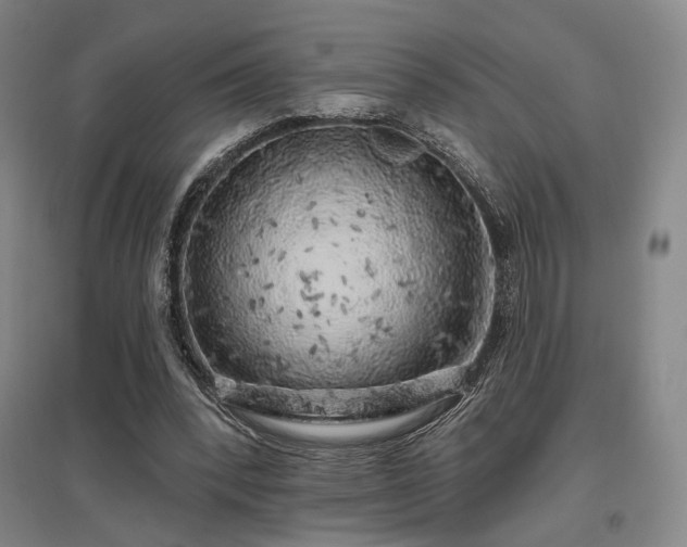 X0000097470392200802221240