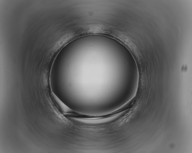 X0000097470393200802221240