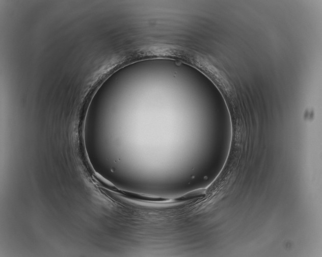 X0000097470394200802221240