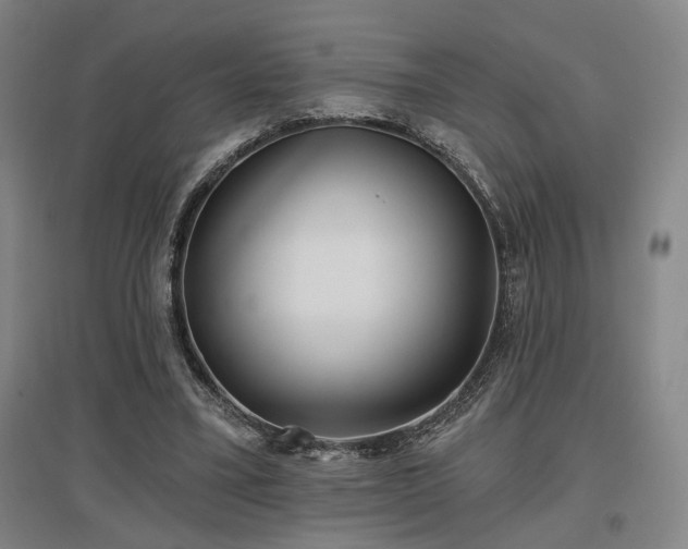X0000097470395200802221240