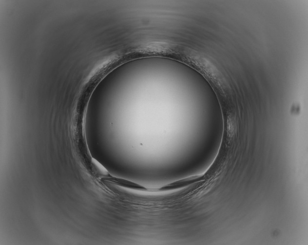X0000097470396200802221240