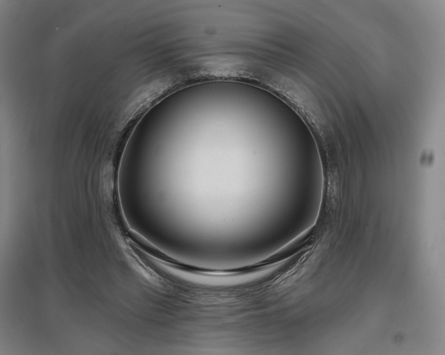X0000097470397200802221240