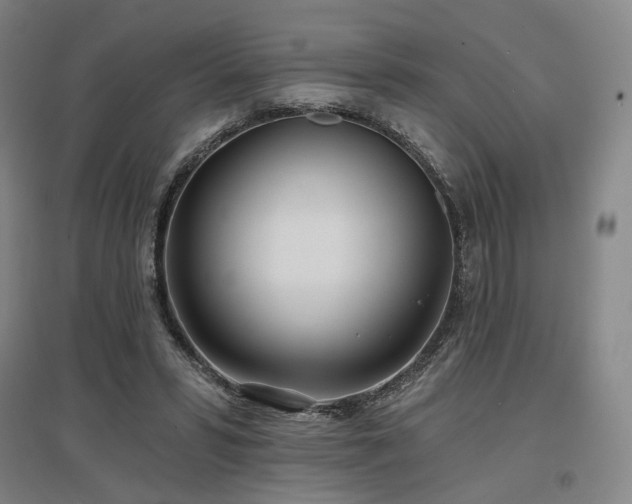 X0000097470399200802221240
