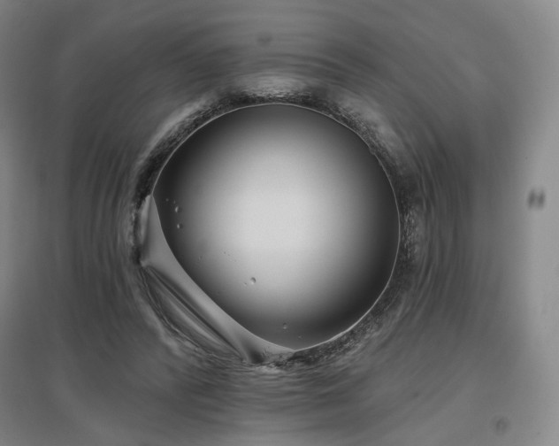 X0000097470400200802221240