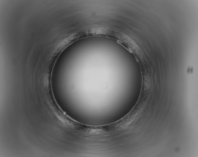 X0000097470401200802221240