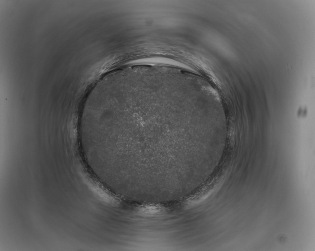 X0000097470402200802221240