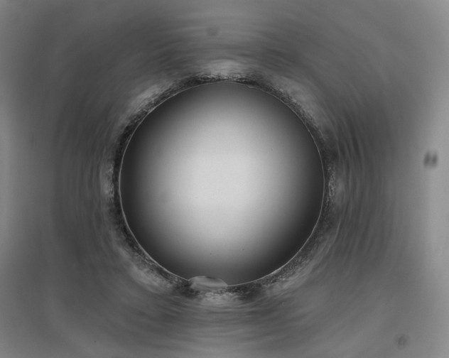 X0000097470403200802221240