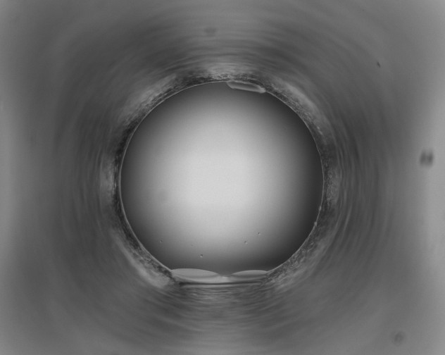 X0000097470405200802221240