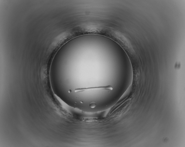 X0000097470407200802221240