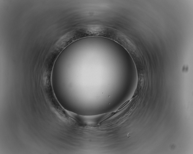 X0000097470408200802221240