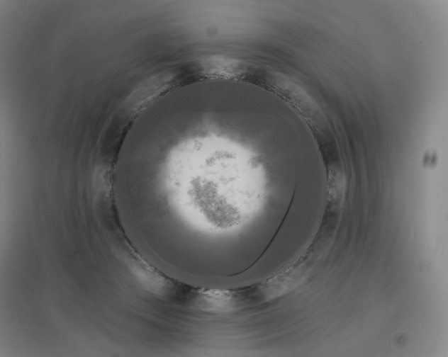 X0000097470409200802221240