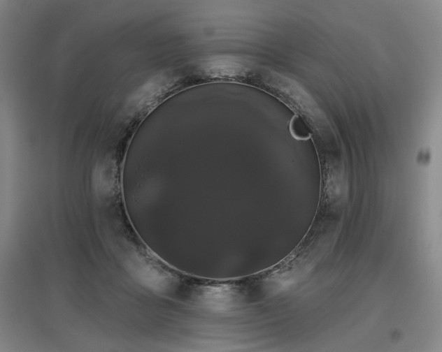 X0000097470411200802221240