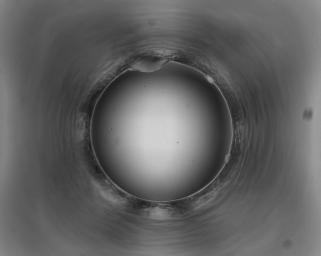 X0000097470412200802221240