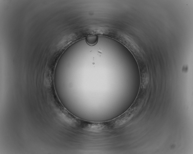 X0000097470414200802221240