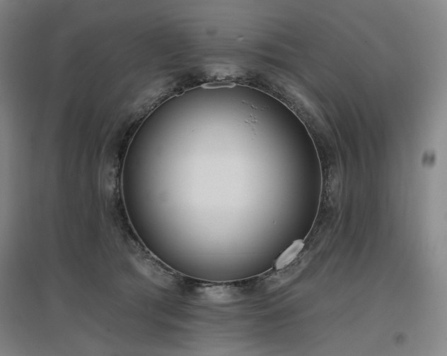 X0000097470417200802221240