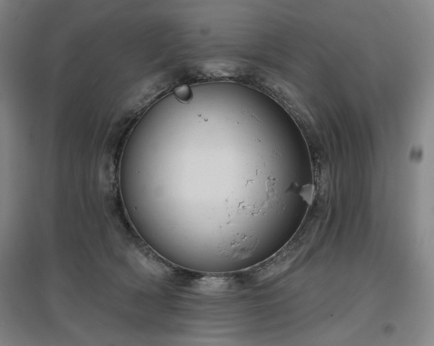 X0000097470418200802221240