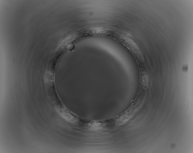 X0000097470419200802221240