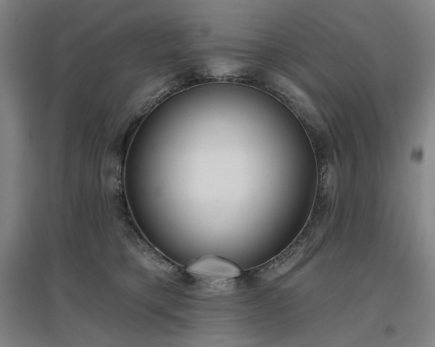 X0000097470421200802221240
