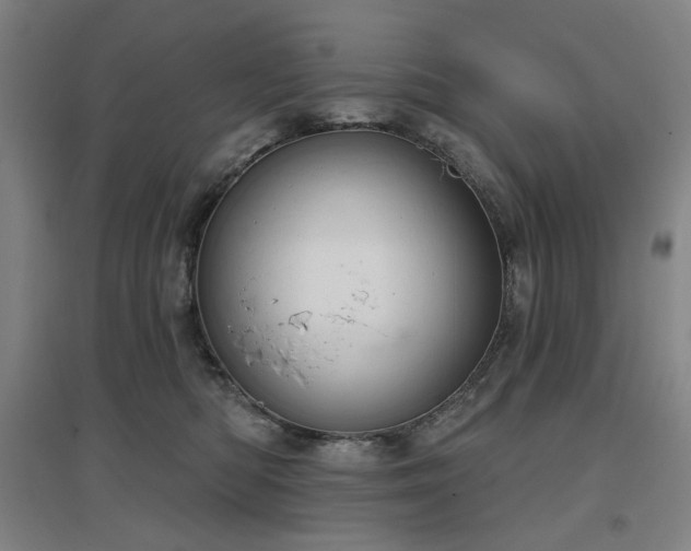 X0000097470422200802221240