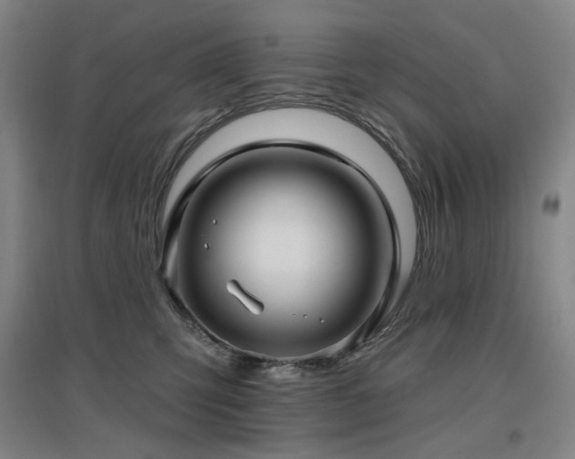 X0000097470423200802221240