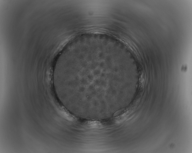 X0000097470424200802221240