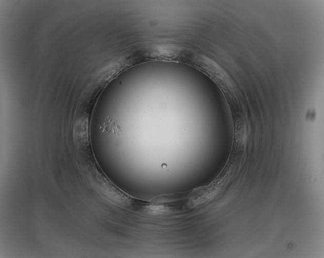 X0000097470425200802221240
