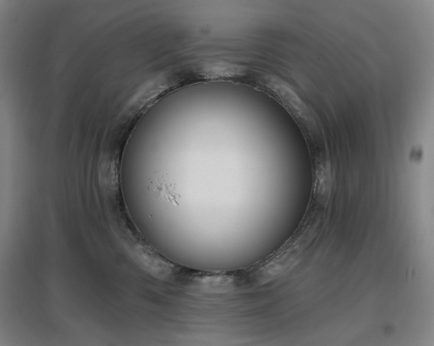 X0000097470426200802221240