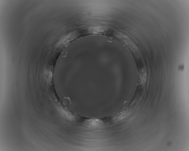 X0000097470427200802221240