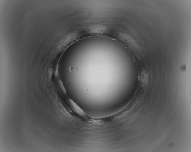 X0000097470428200802221240