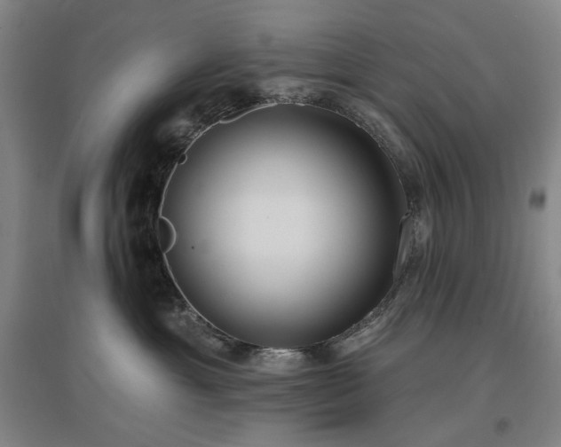 X0000097470429200802221240