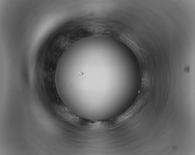 X0000097470430200802221240