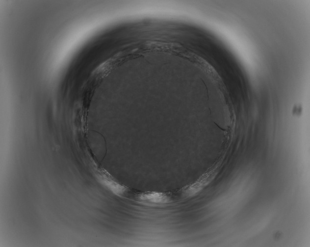 X0000097470431200802221240