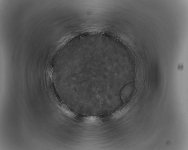 X0000097470432200802221240