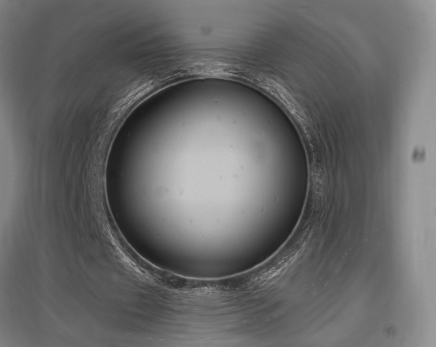 X0000097470433200802221239