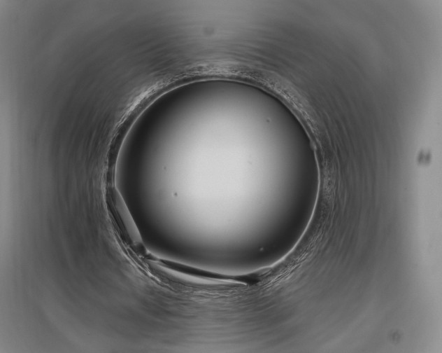 X0000097470434200802221239