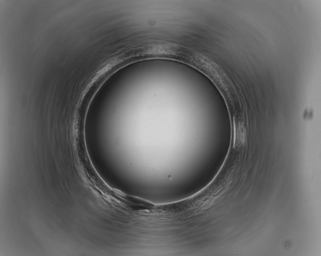 X0000097470435200802221239