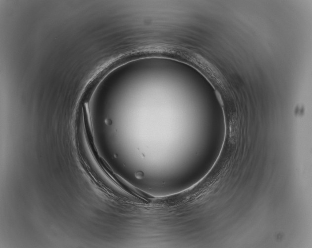 X0000097470436200802221239