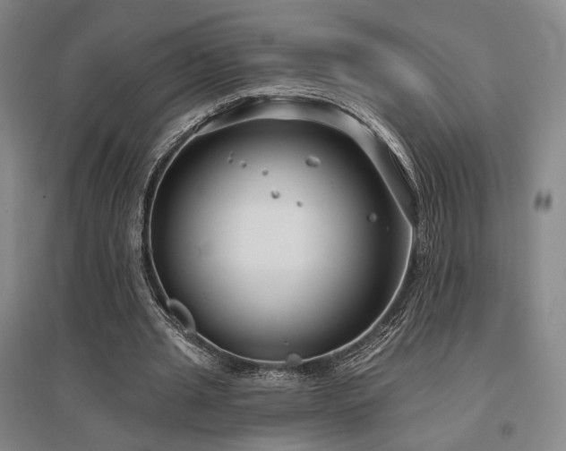 X0000097470437200802221239