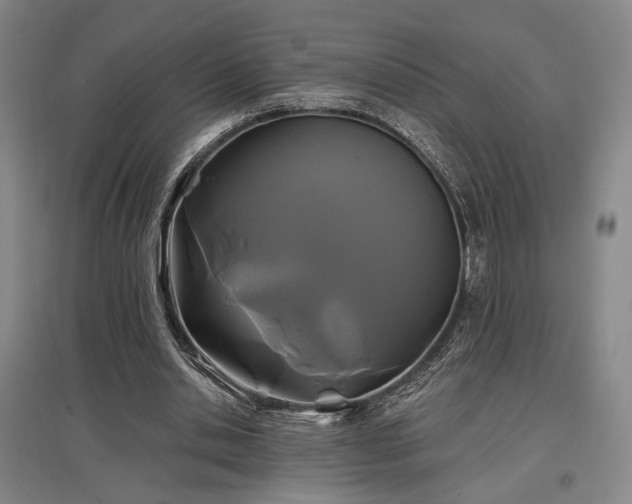 X0000097470438200802221239