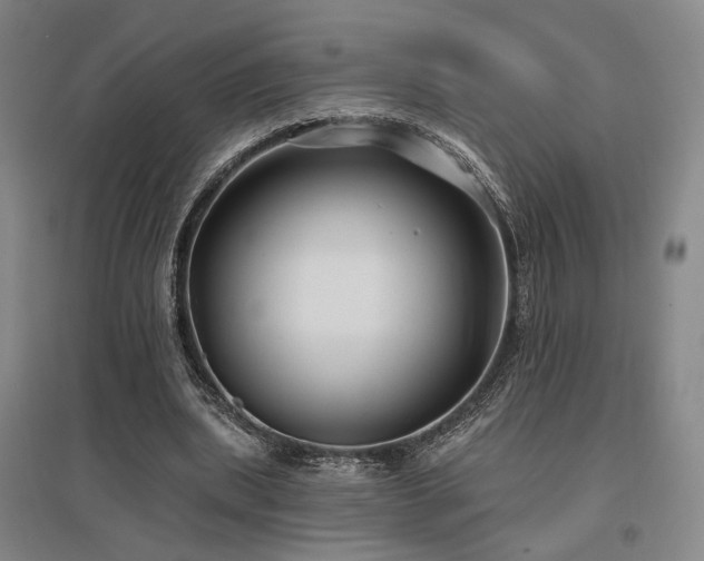 X0000097470439200802221239