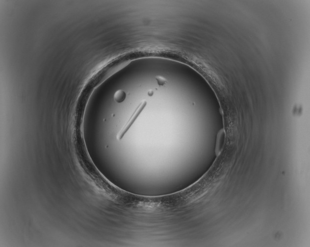 X0000097470440200802221239