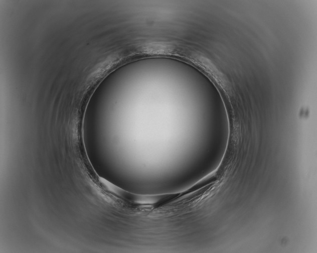 X0000097470441200802221239