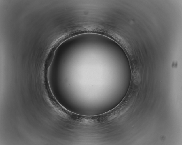 X0000097470442200802221239