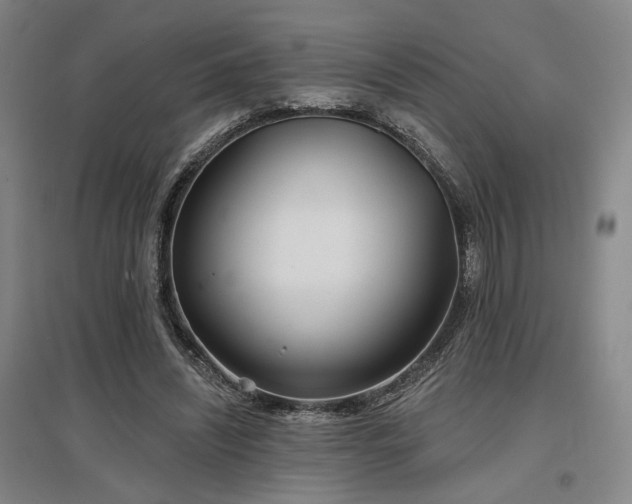 X0000097470444200802221239