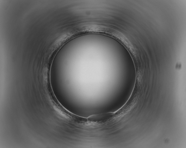 X0000097470445200802221239
