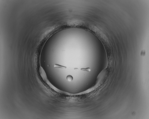 X0000097470448200802221239
