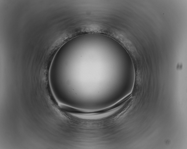X0000097470449200802221239
