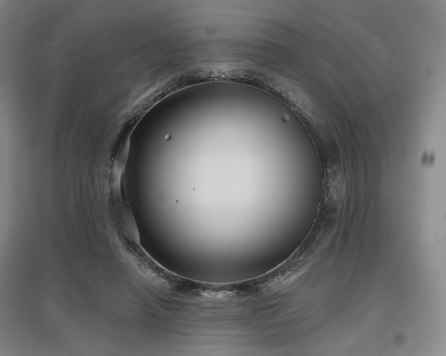 X0000097470450200802221239
