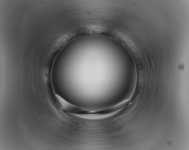 X0000097470451200802221239