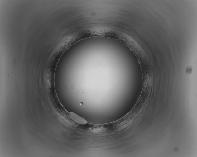 X0000097470452200802221239